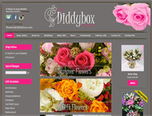 Tablet Screenshot of diddybox.co.uk